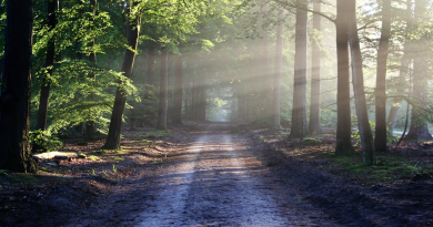 Nature's beauty with the spirit of Earth Day 2025.