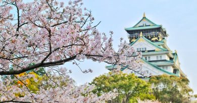 Japan hits 10 million tourists faster than ever in 2025