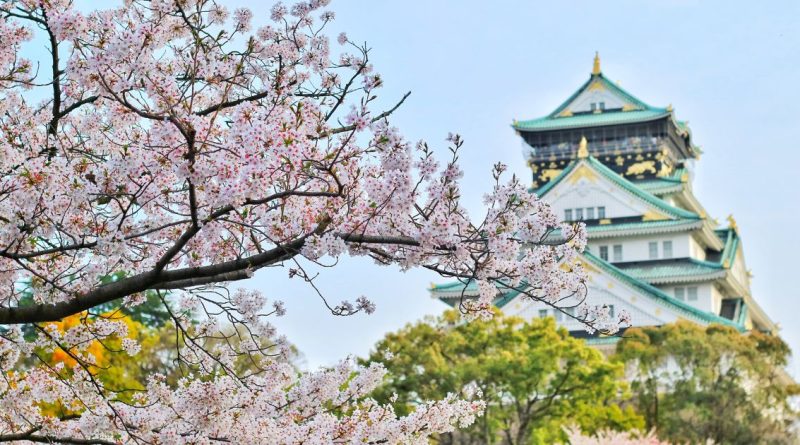 Japan hits 10 million tourists faster than ever in 2025